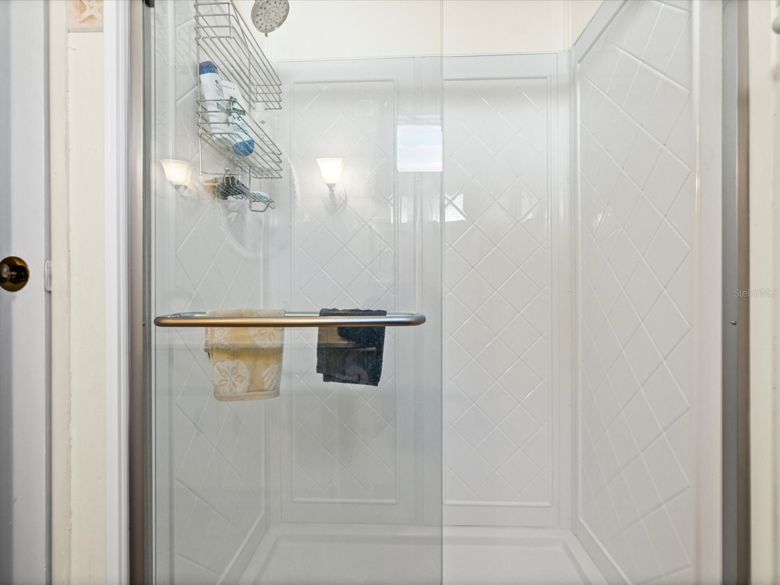 6439 Theresa Avenue Weeki Wachee FL 34607 W7883090 image21