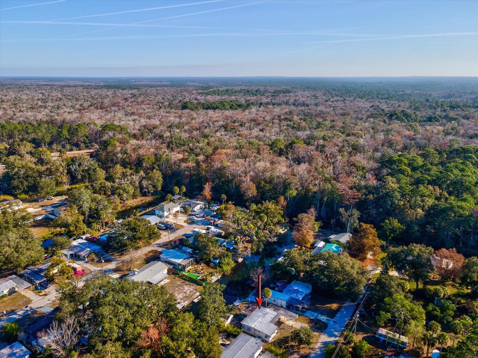 6439 Theresa Avenue Weeki Wachee FL 34607 W7883090 image42