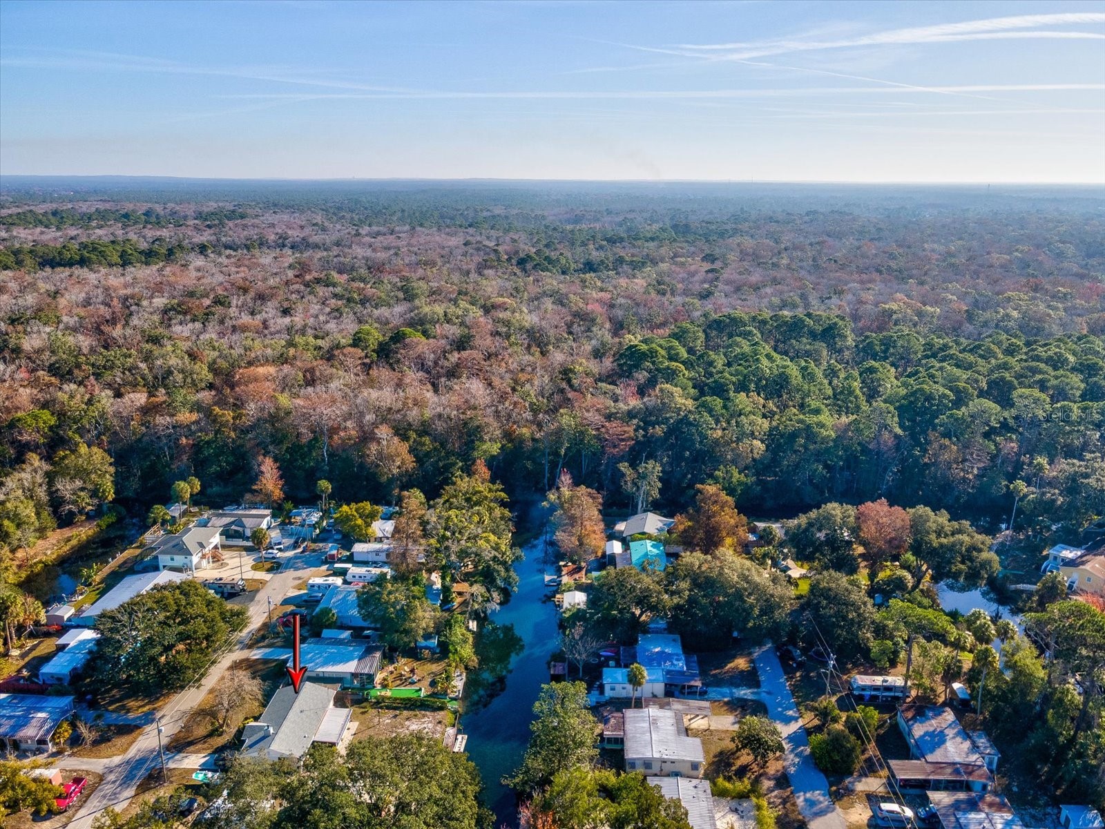 6439 Theresa Avenue Weeki Wachee FL 34607 W7883090 image43