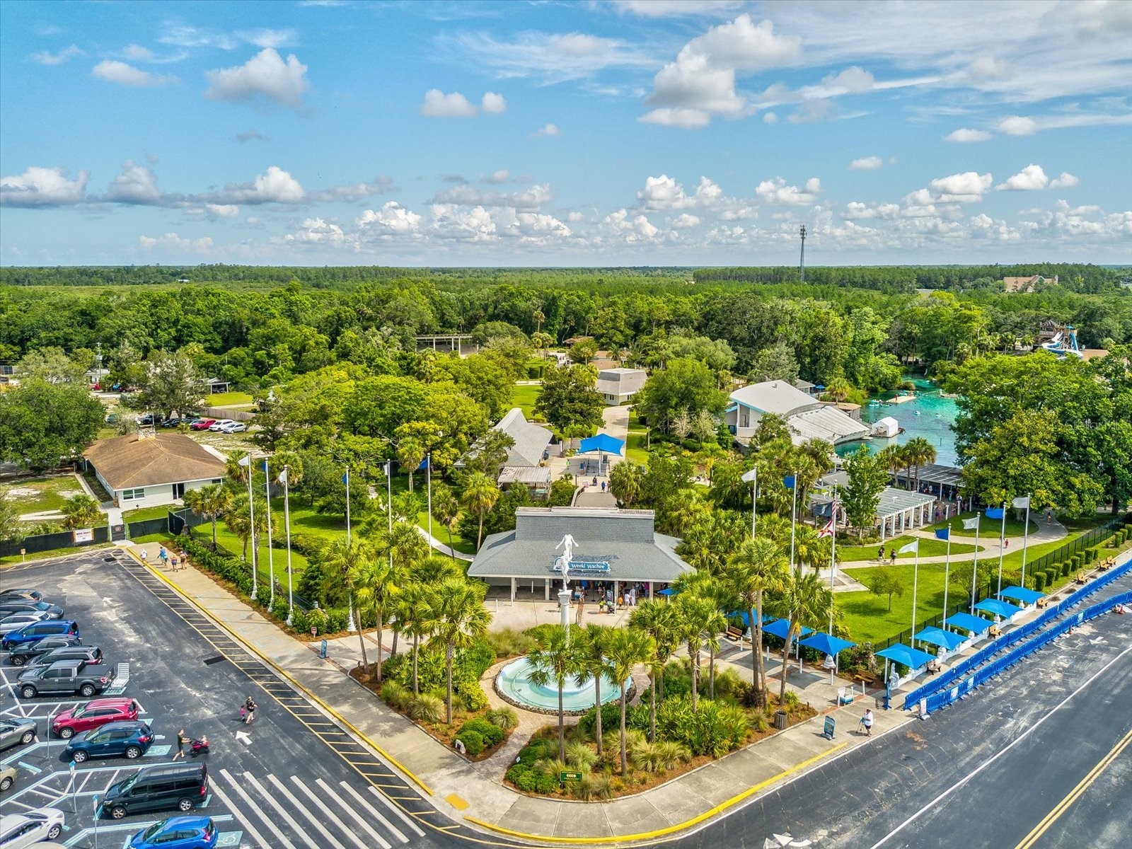 6439 Theresa Avenue Weeki Wachee FL 34607 W7883090 image53