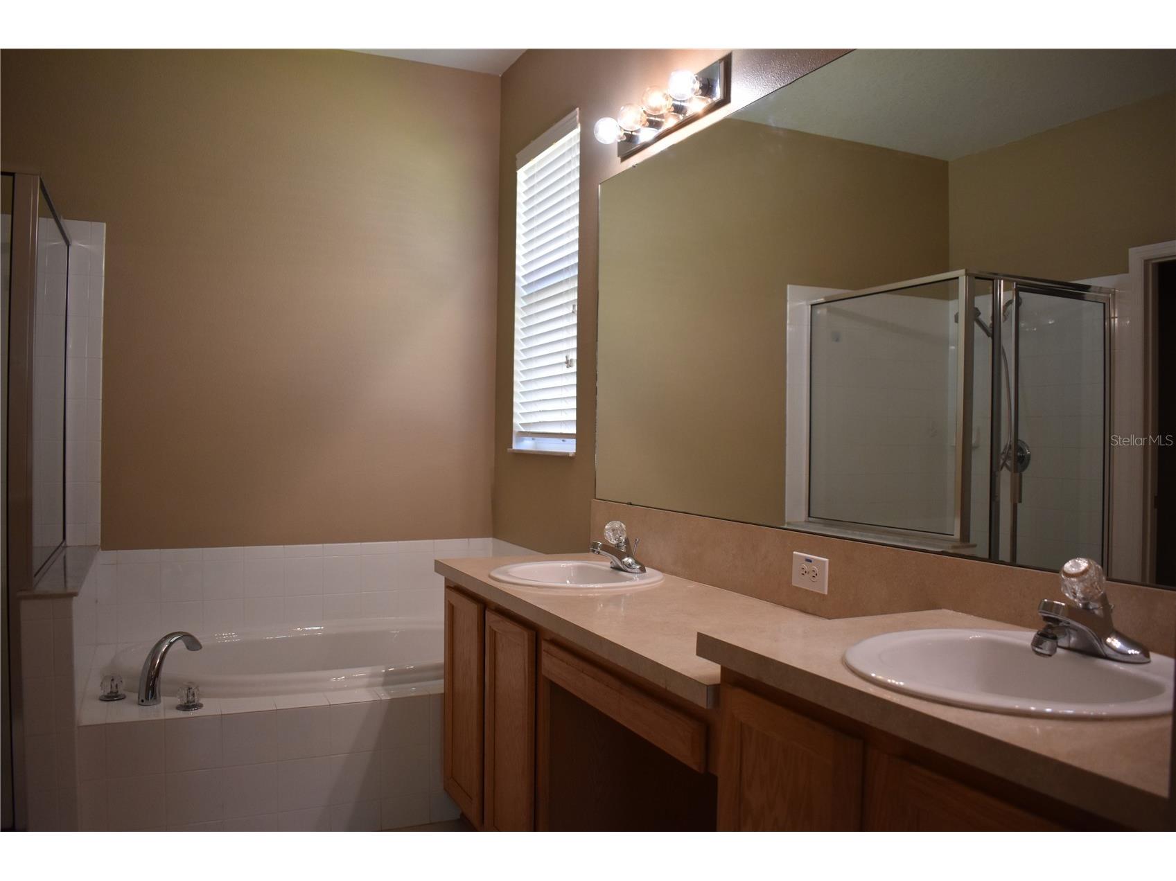 644 Chesney Drive Valrico FL 33594 TB8516507 image11