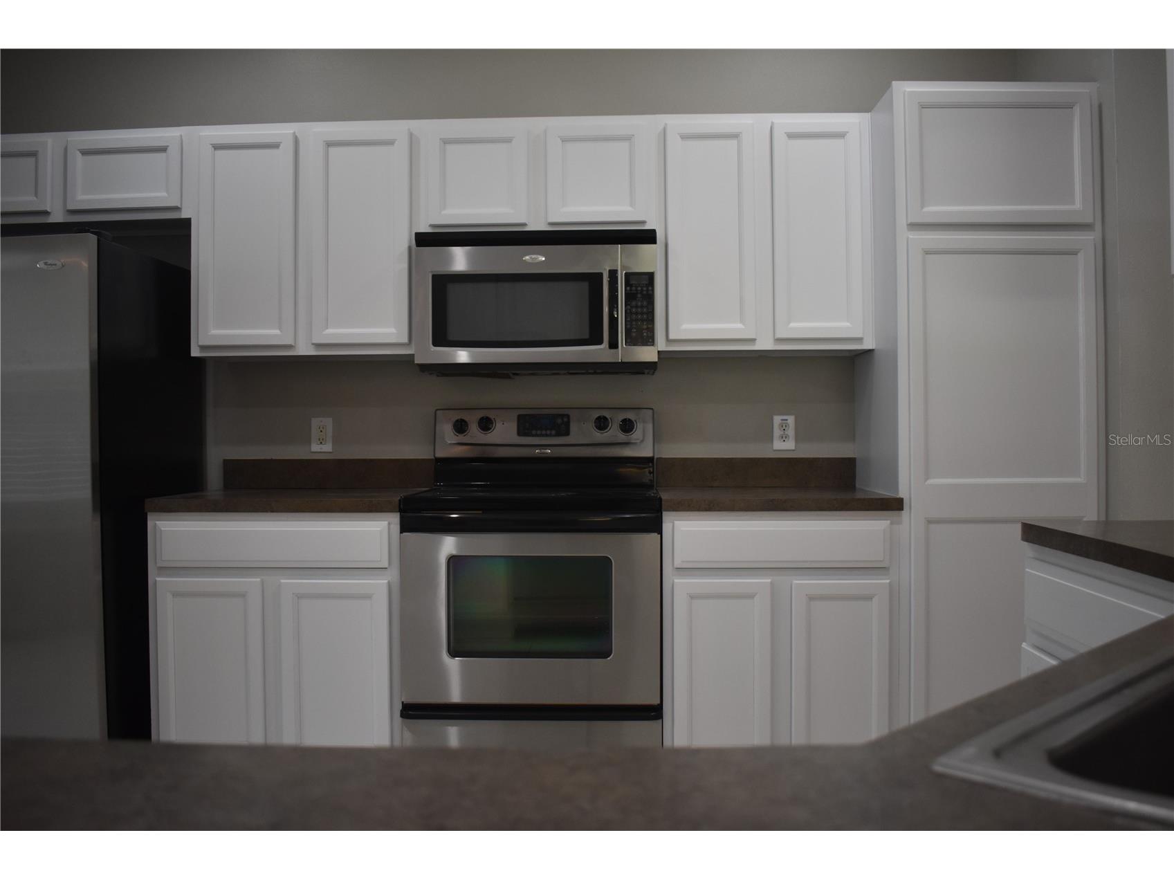 644 Chesney Drive Valrico FL 33594 TB8516507 image6
