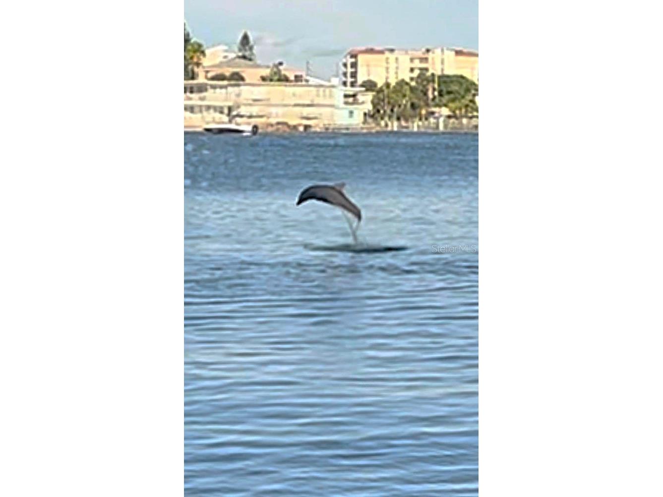 644 Island Way #101 Clearwater Beach FL 33767 - MANDALAY CHANNEL TB8461679 image63
