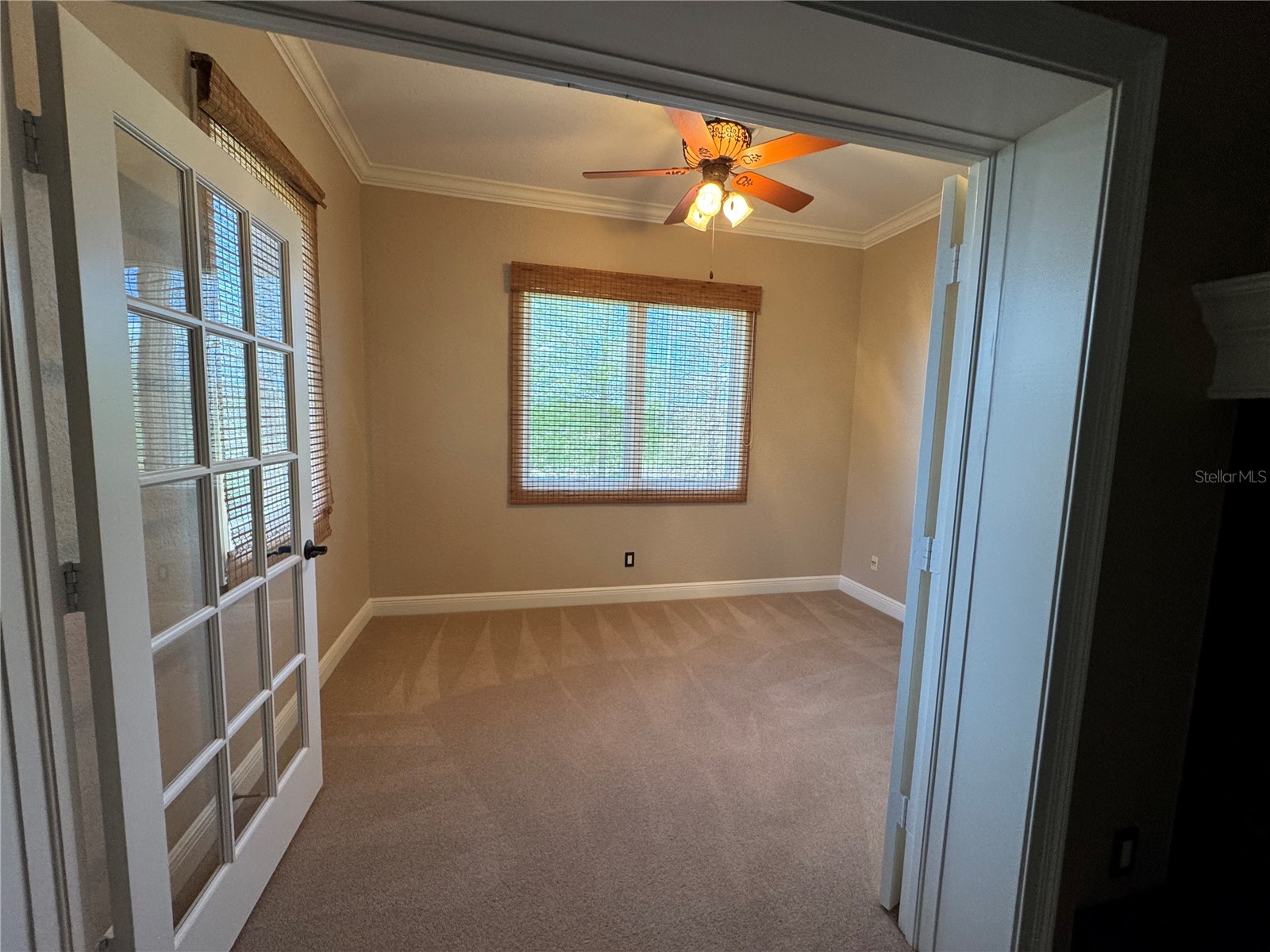 644 Saxony Boulevard Saint Petersburg FL 33716 TB8492103 image10