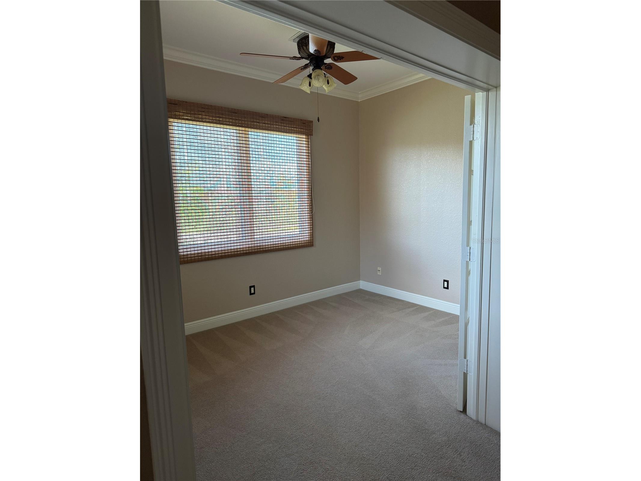 644 Saxony Boulevard Saint Petersburg FL 33716 TB8492103 image11