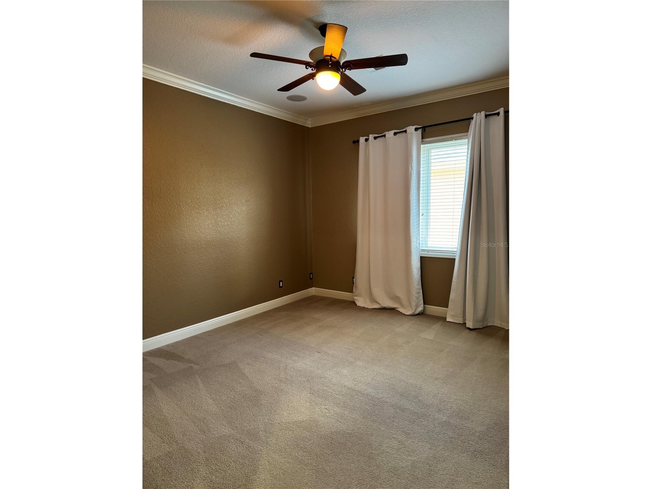 644 Saxony Boulevard Saint Petersburg FL 33716 TB8492103 image16