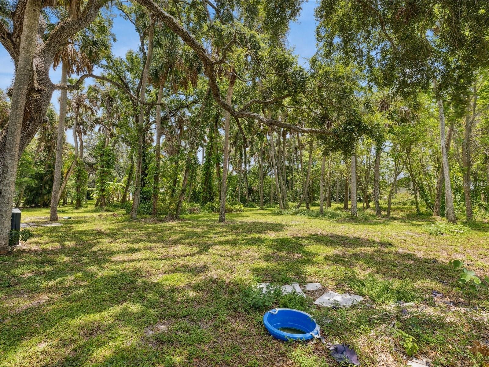 6440 Richardson Road Sarasota FL 34240 A4688592 image5