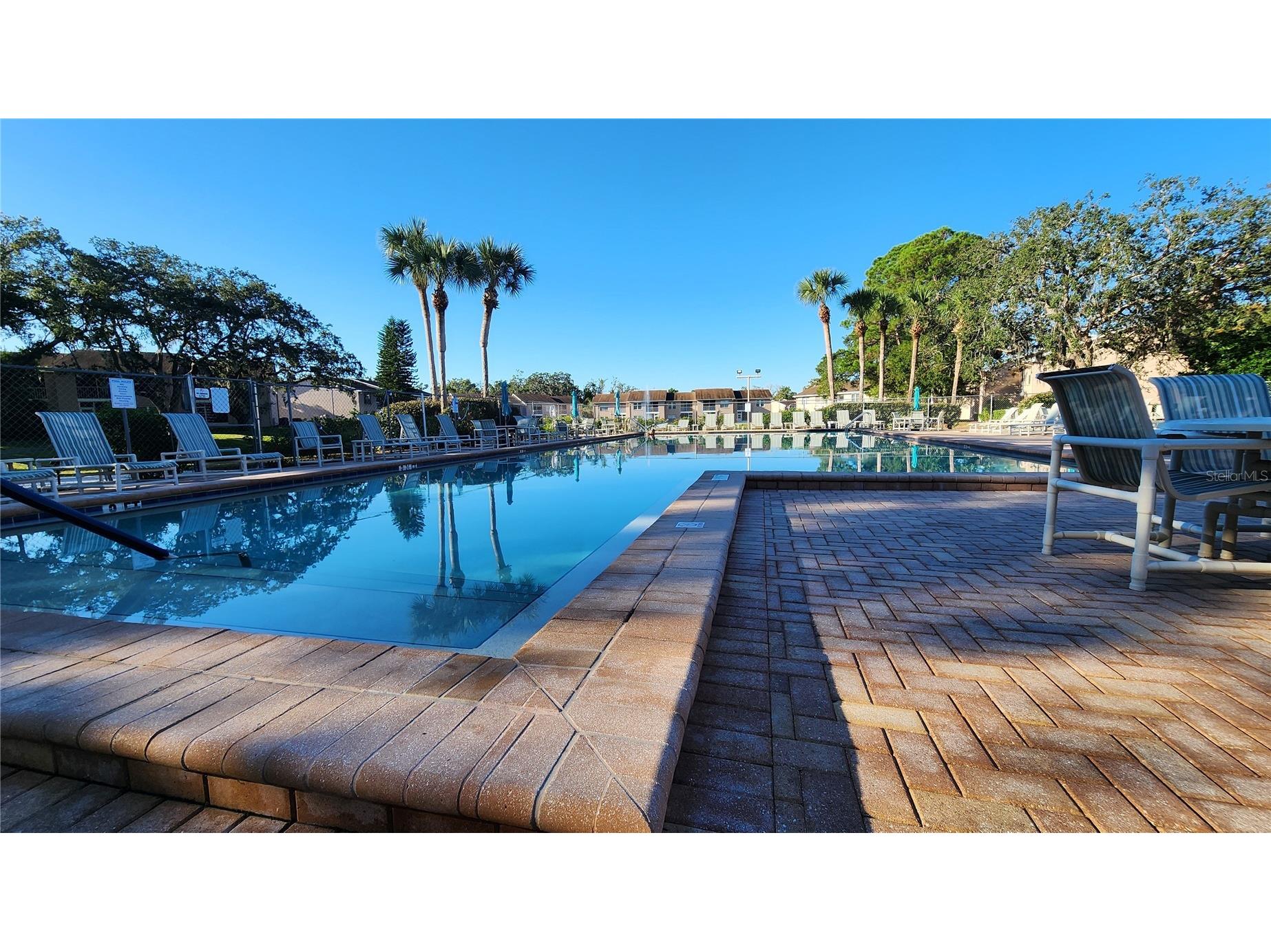 6440 Spring Flower Drive #14 New Port Richey FL 34653 TB8436724 image3