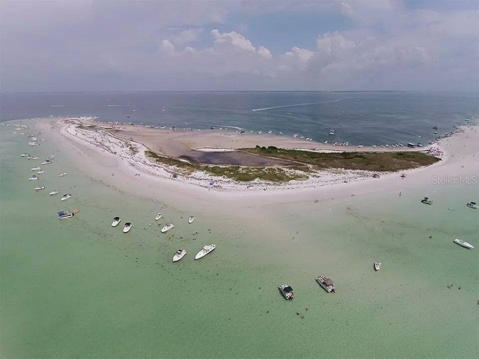 6441 Clark Street Hudson FL 34667 - SPONGE CREEK TB8488109 image34