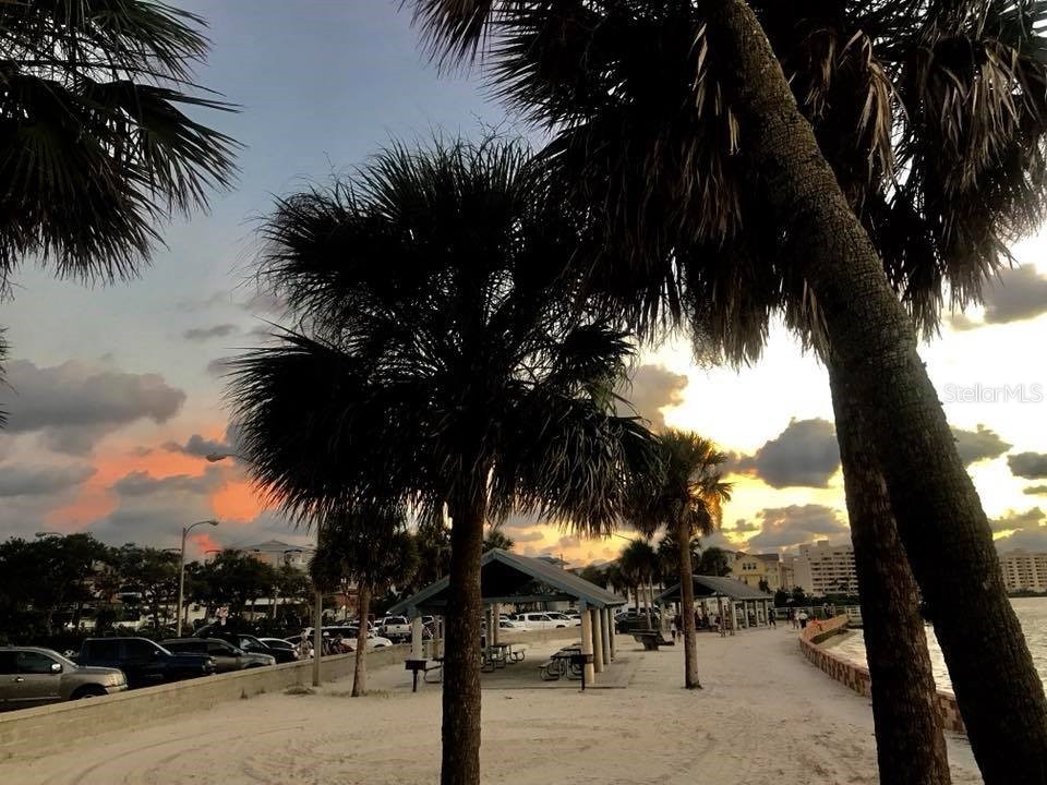 6441 Clark Street Hudson FL 34667 - SPONGE CREEK TB8488109 image36