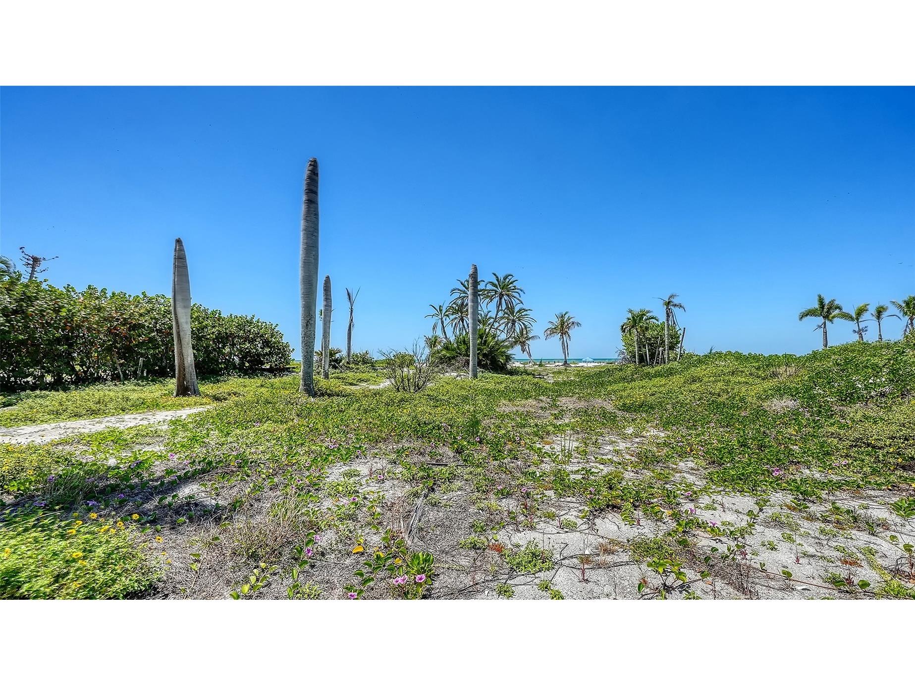 6441 Gulfside Road Longboat Key FL 34228 A4692771 image5