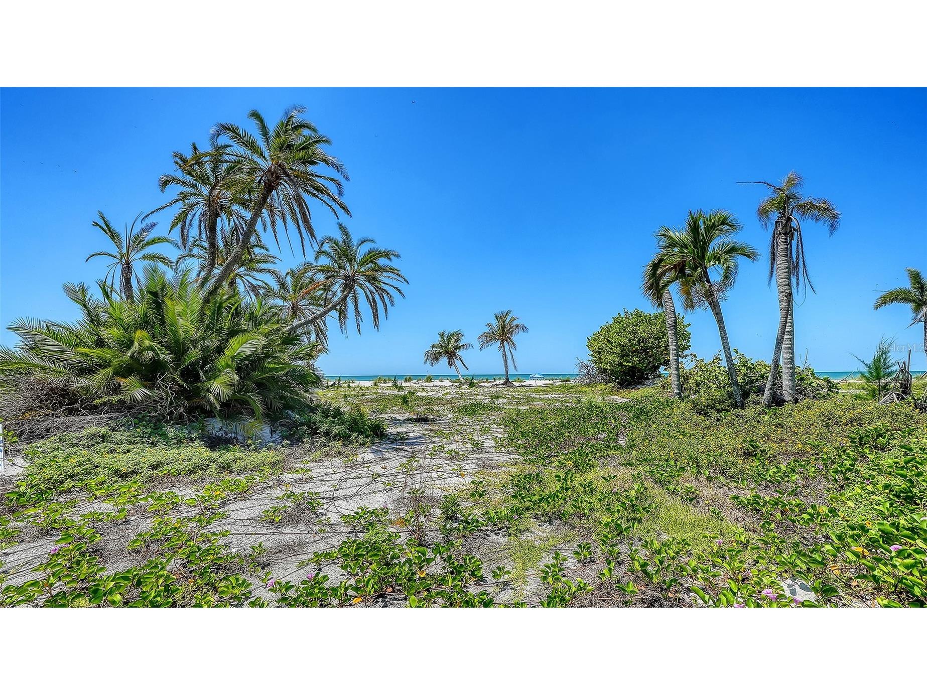 6441 Gulfside Road Longboat Key FL 34228 A4692771 image6