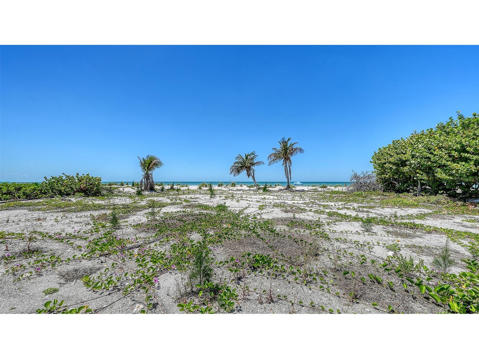 6441 Gulfside Road Longboat Key FL 34228 A4692771 image8
