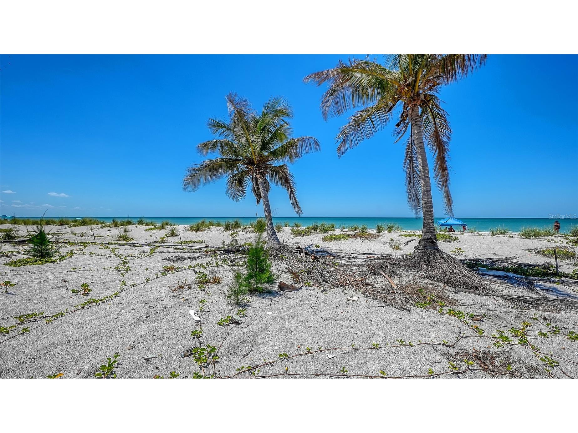 6441 Gulfside Road Longboat Key FL 34228 A4692771 image9