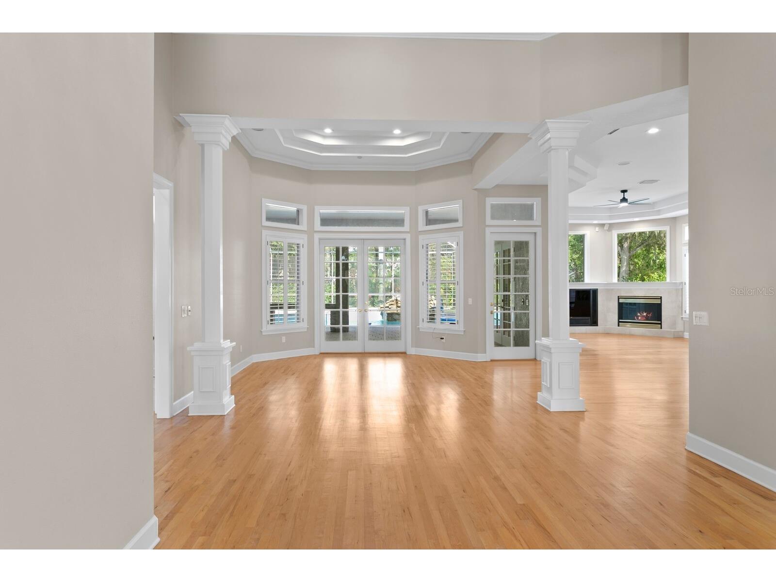 6441 Renwick Circle Tampa FL 33647 TB8468228 image4