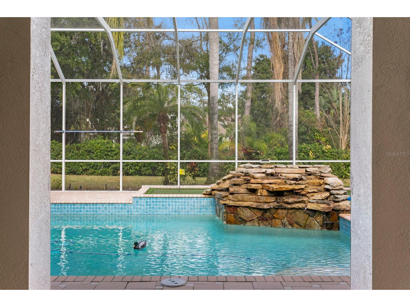 6441 Renwick Circle Tampa FL 33647 TB8468228 image58