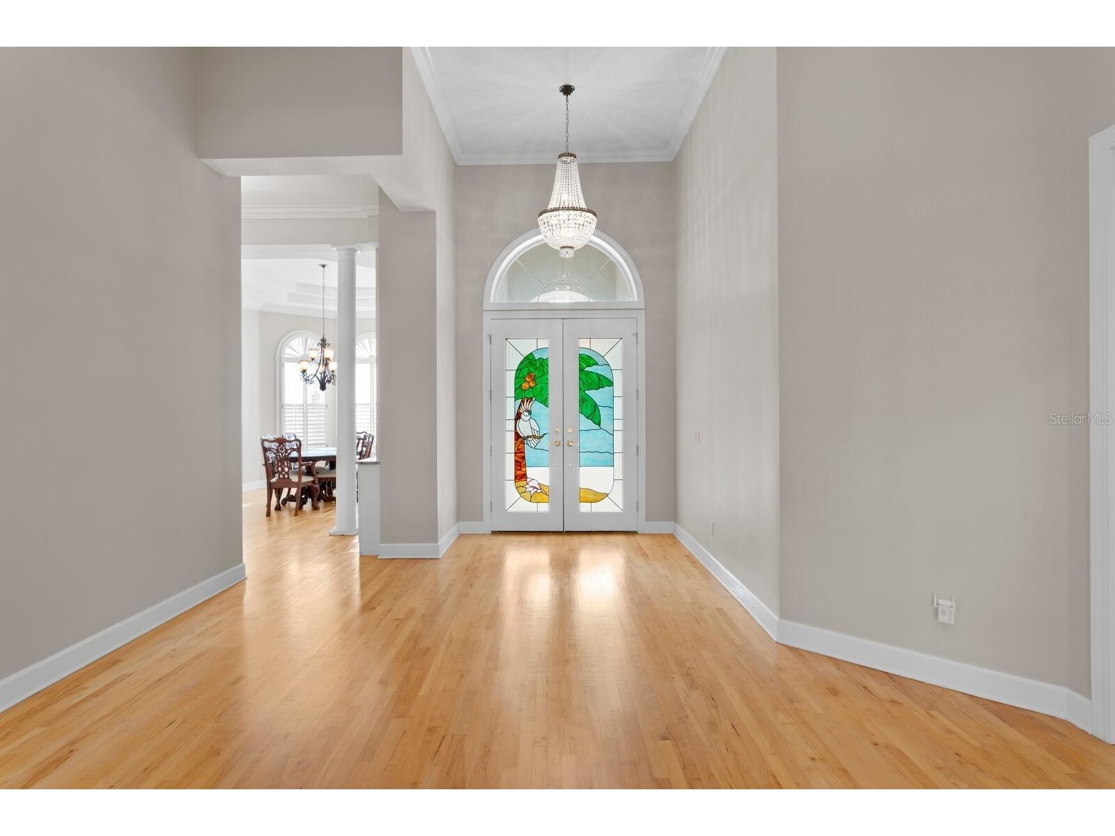 6441 Renwick Circle Tampa FL 33647 TB8468228 image6