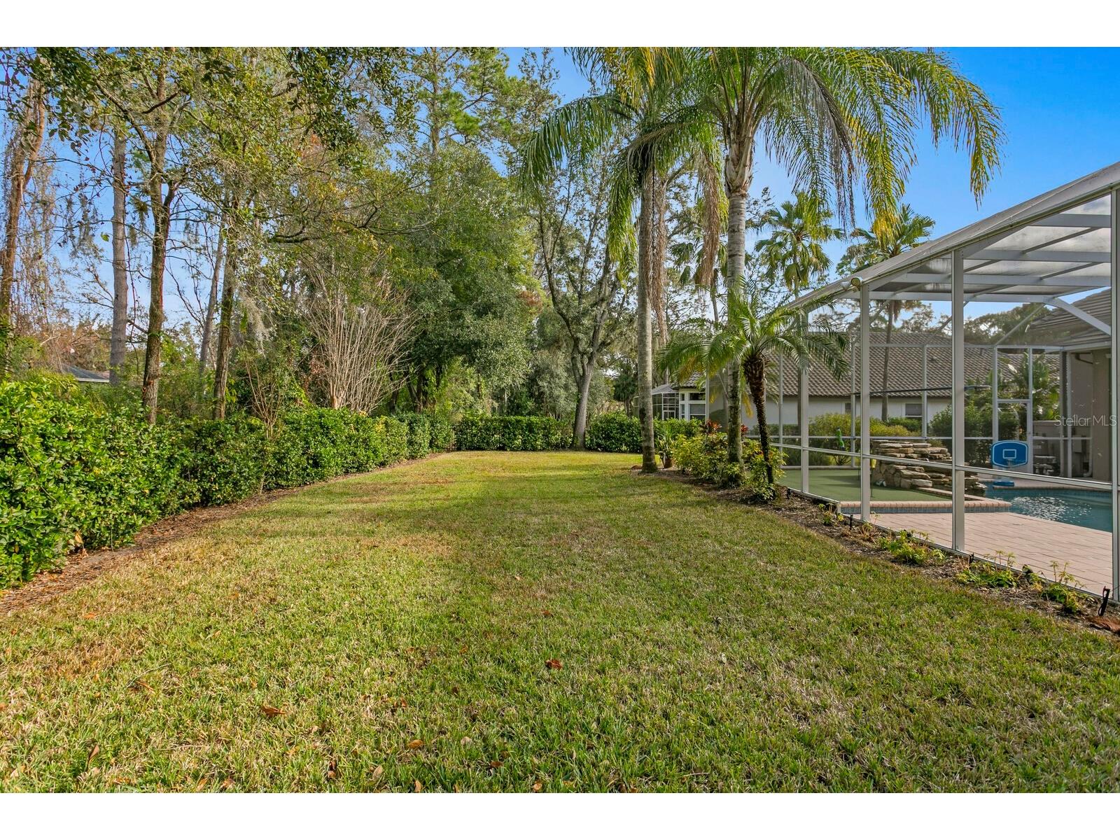 6441 Renwick Circle Tampa FL 33647 TB8468228 image71