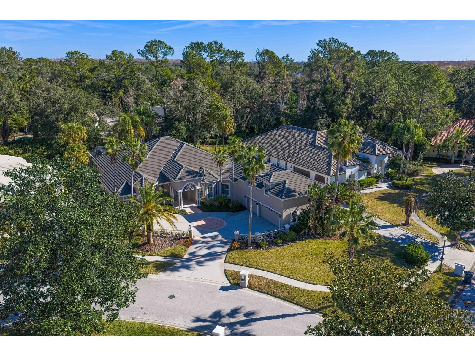 6441 Renwick Circle Tampa FL 33647 TB8468228 image74