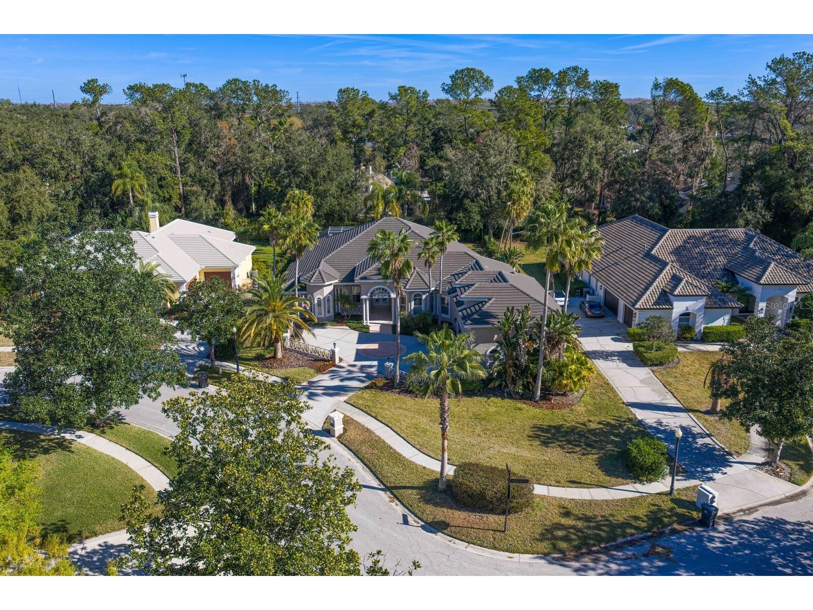 6441 Renwick Circle Tampa FL 33647 TB8468228 image76