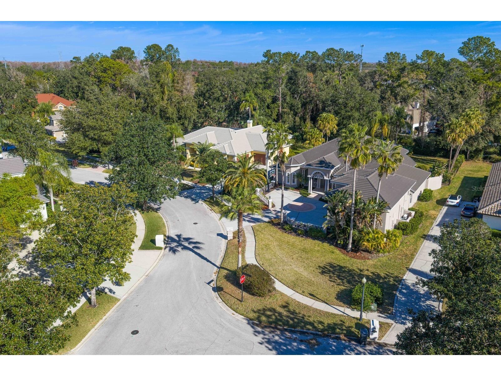 6441 Renwick Circle Tampa FL 33647 TB8468228 image77