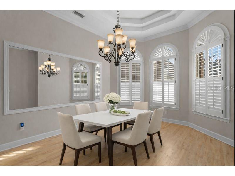 6441 Renwick Circle Tampa FL 33647 TB8468228 image9