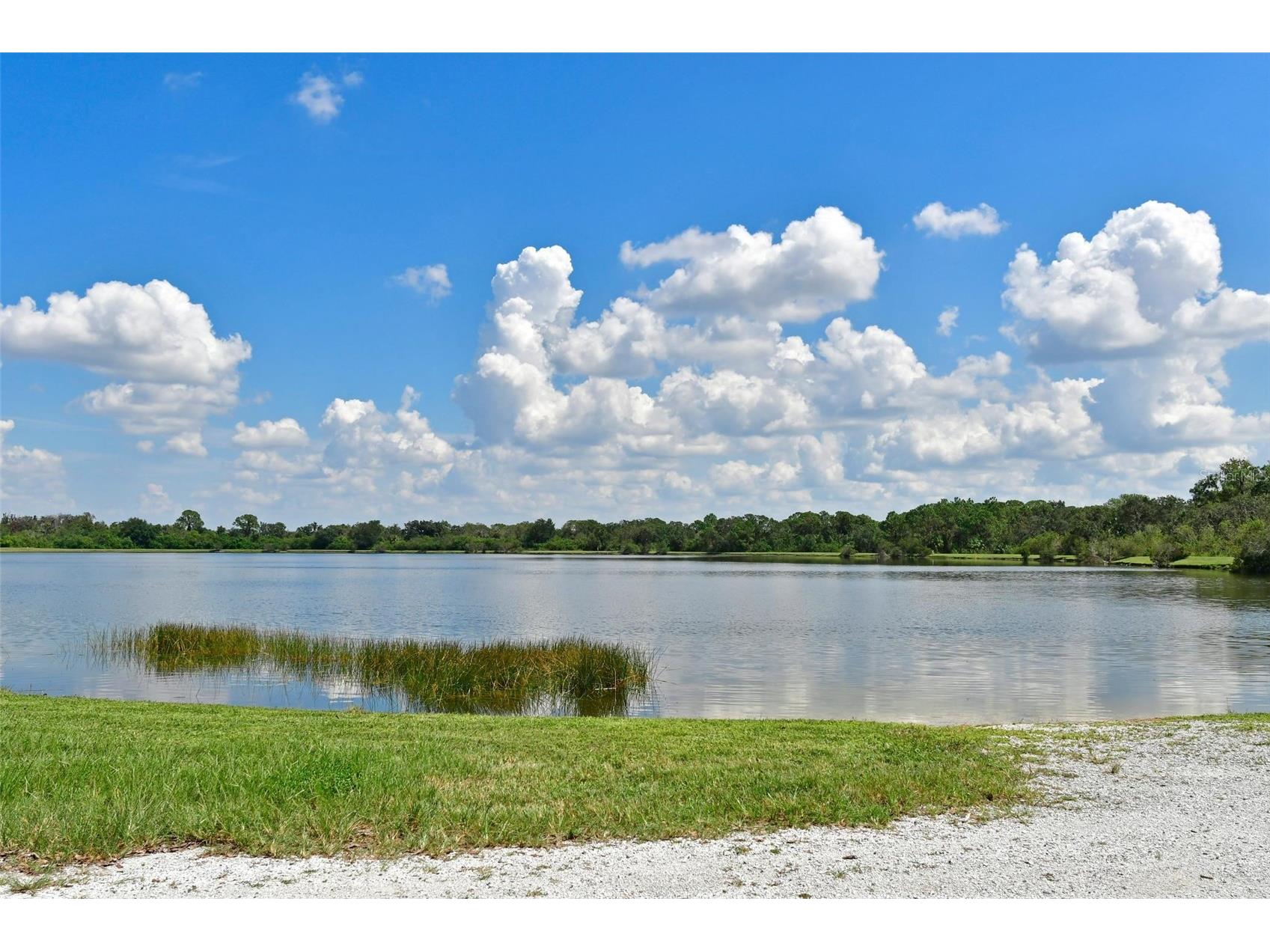 6442 Barberry Court Lakewood Ranch FL 34202 A4661514 image34