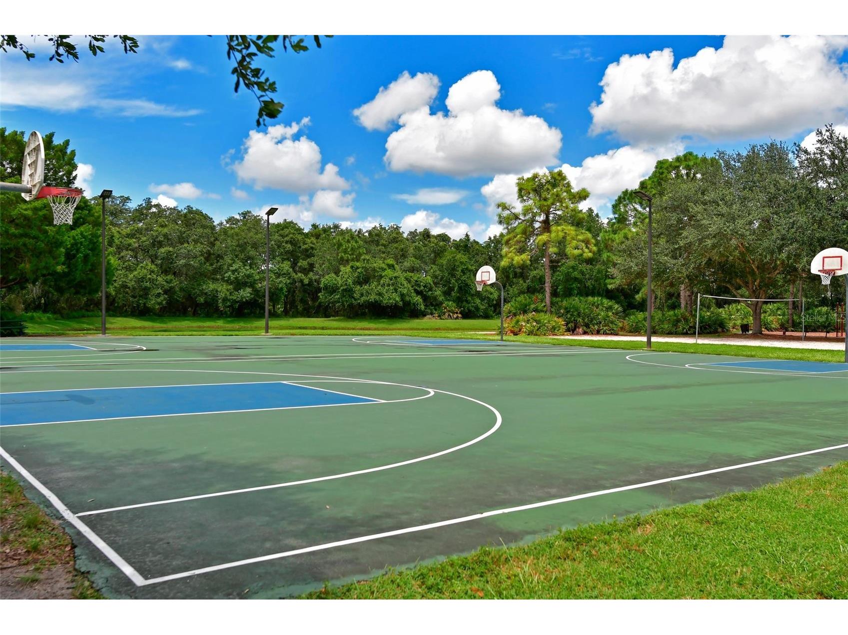 6442 Barberry Court Lakewood Ranch FL 34202 A4661514 image37