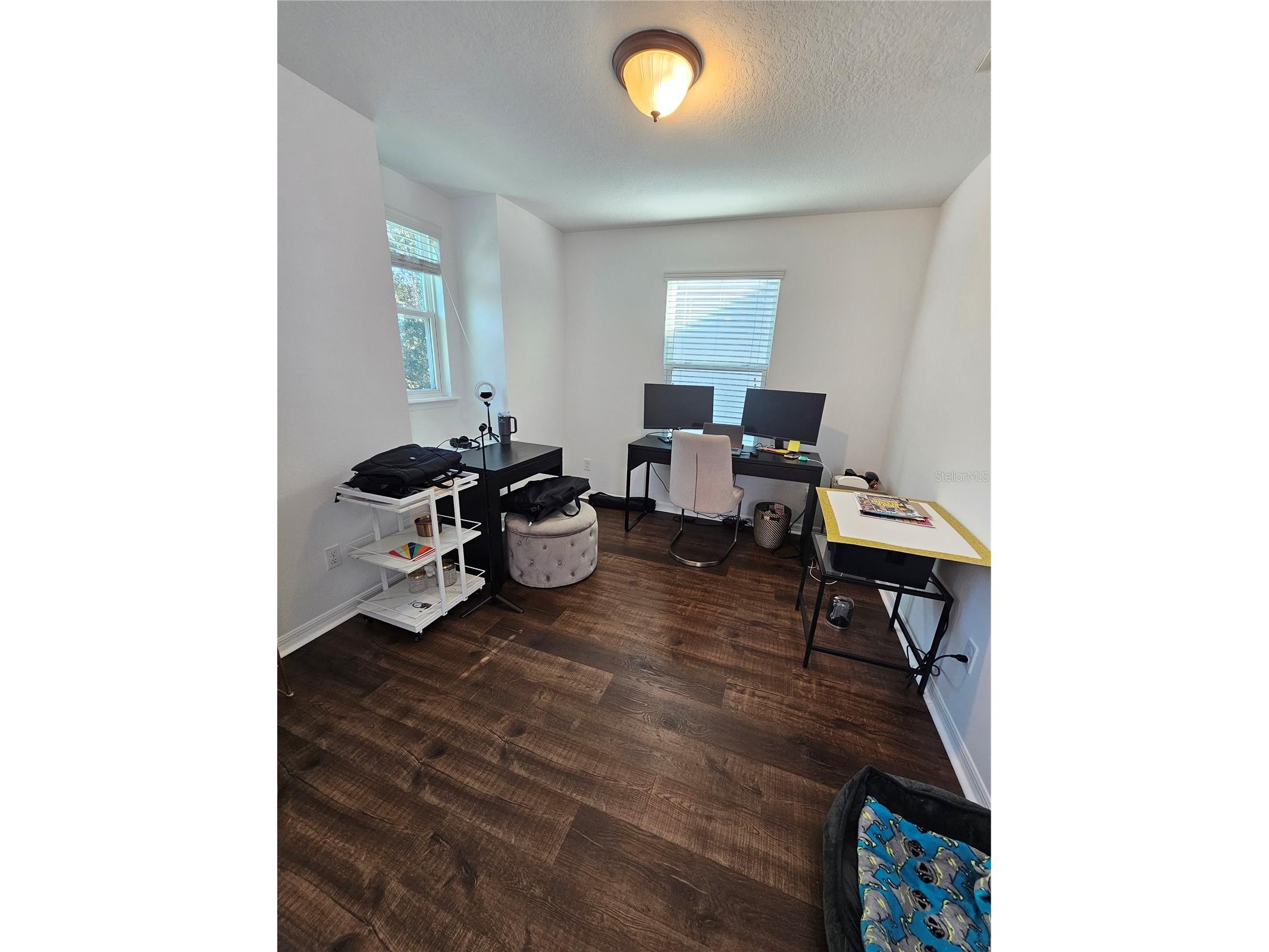 6442 Golden Dewdrop Trail Windermere FL 34786 G5106279 image18