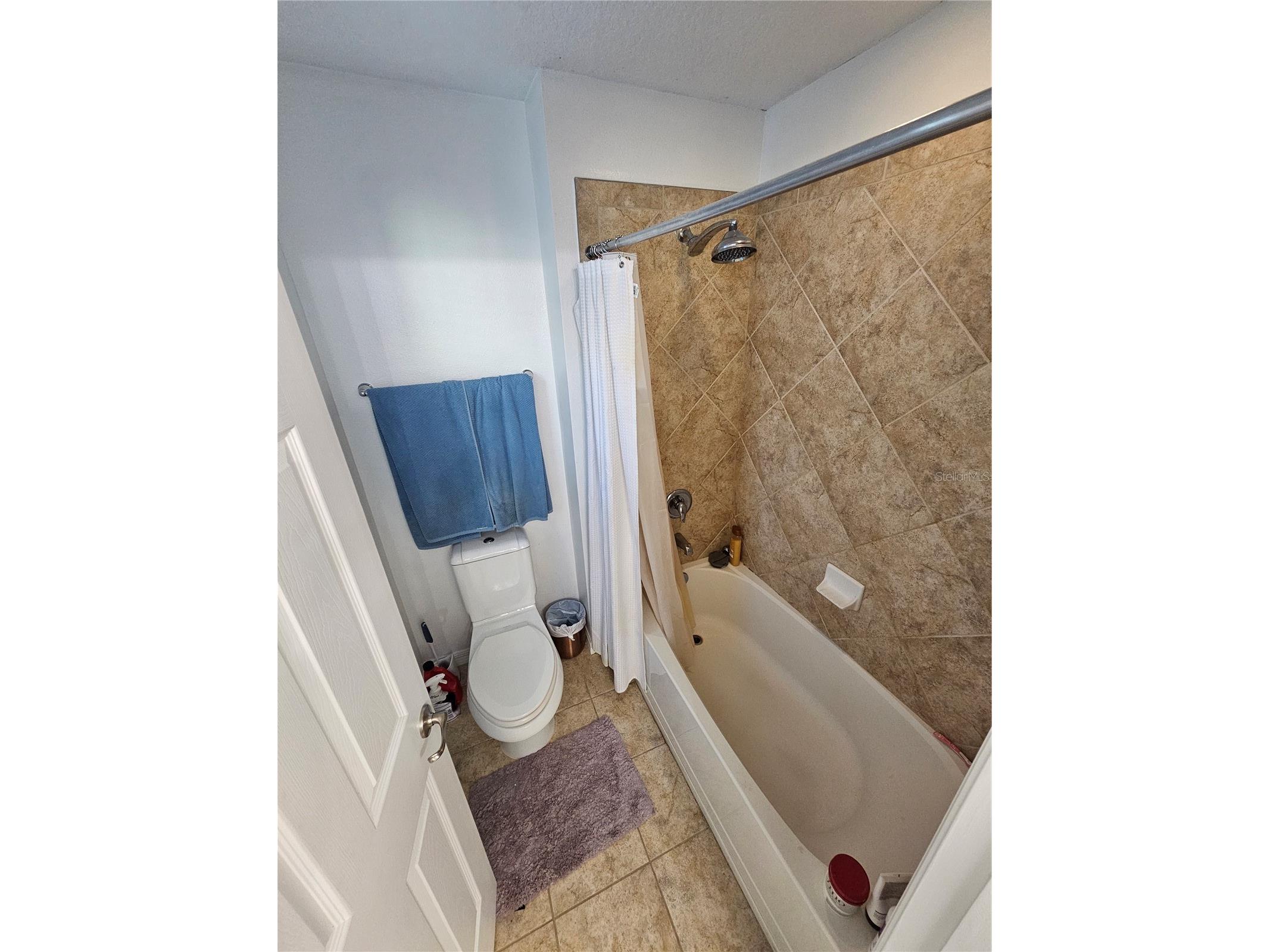 6442 Golden Dewdrop Trail Windermere FL 34786 G5106279 image21