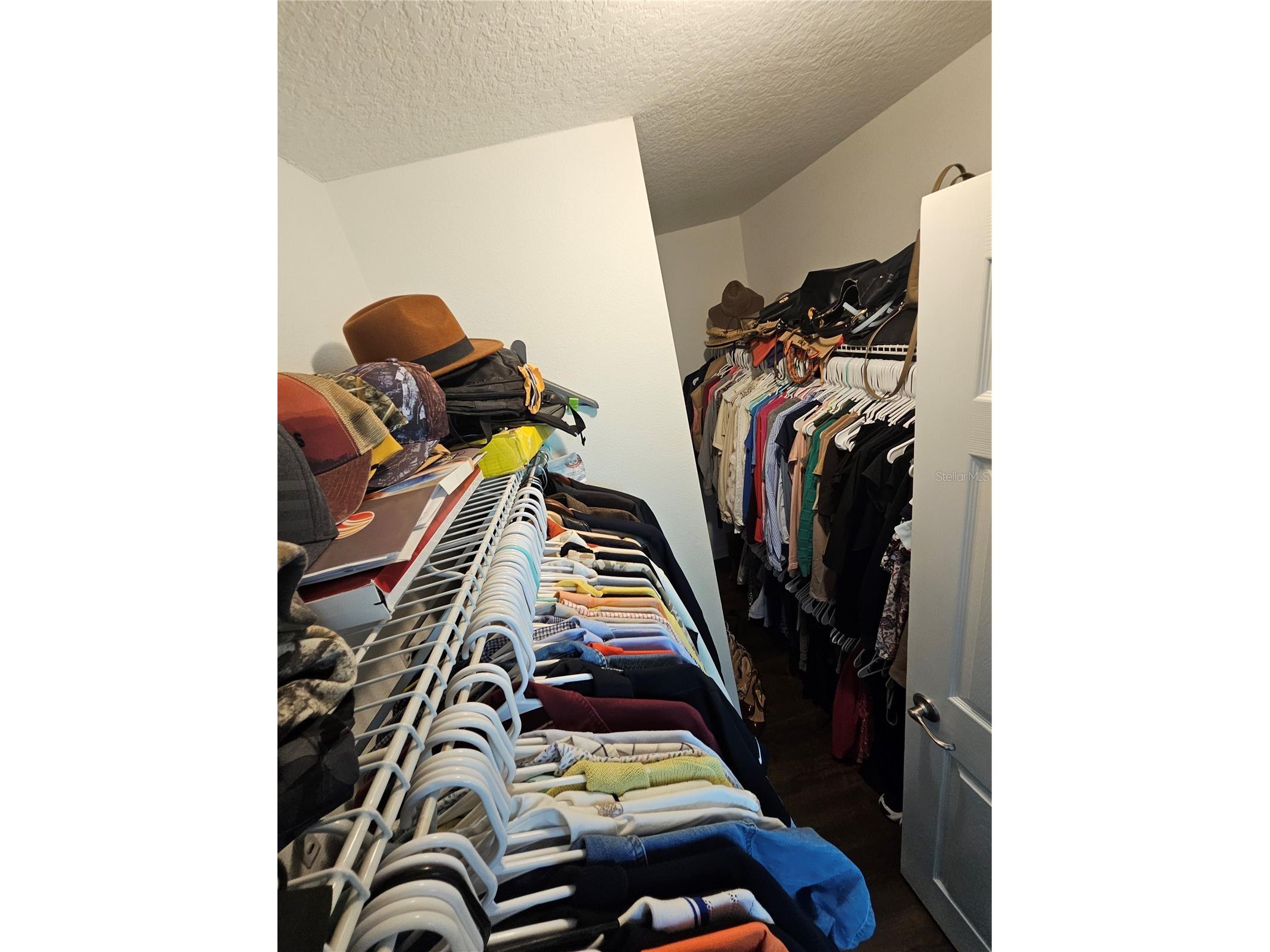 6442 Golden Dewdrop Trail Windermere FL 34786 G5106279 image27