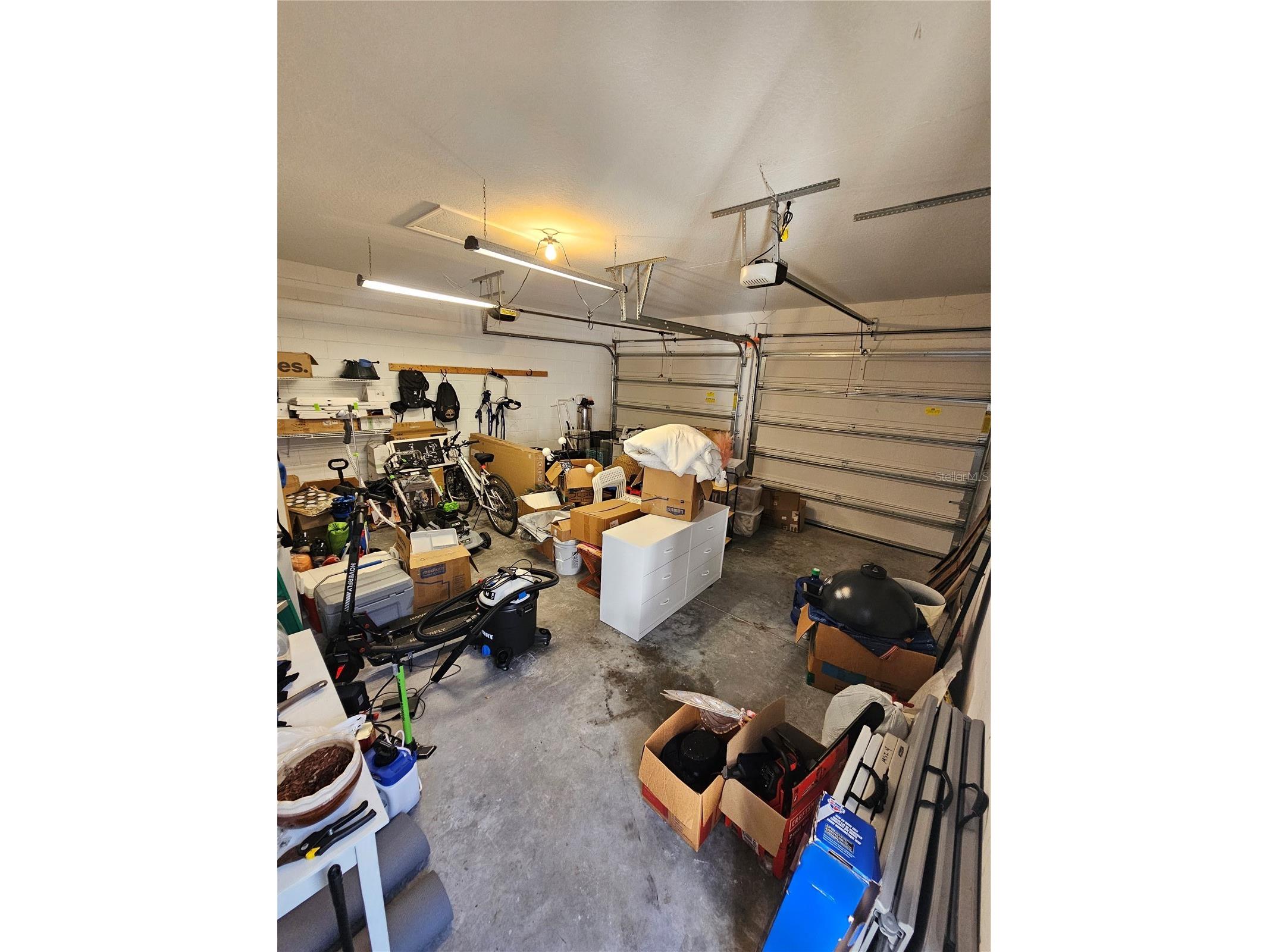 6442 Golden Dewdrop Trail Windermere FL 34786 G5106279 image38