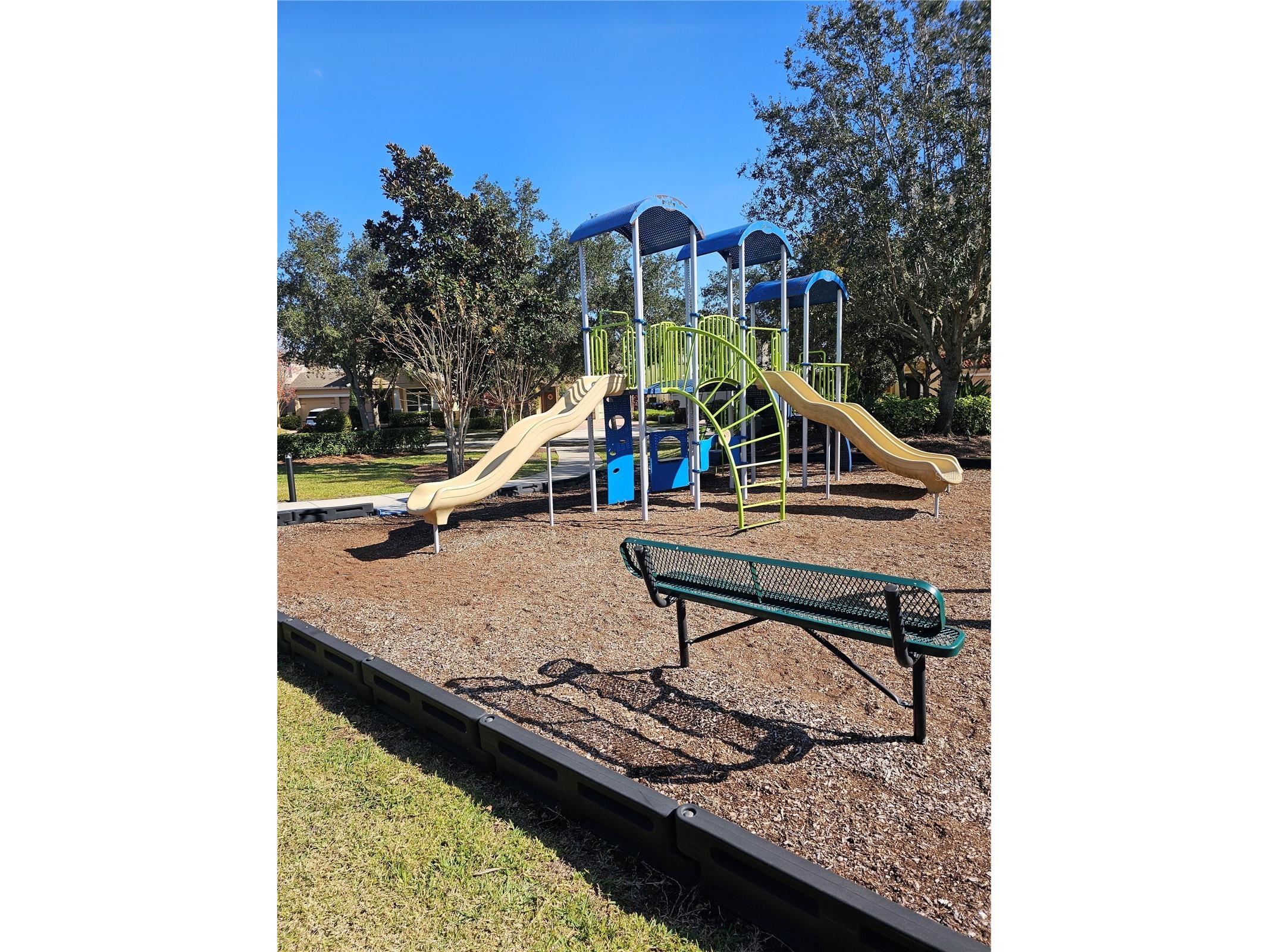 6442 Golden Dewdrop Trail Windermere FL 34786 G5106279 image40