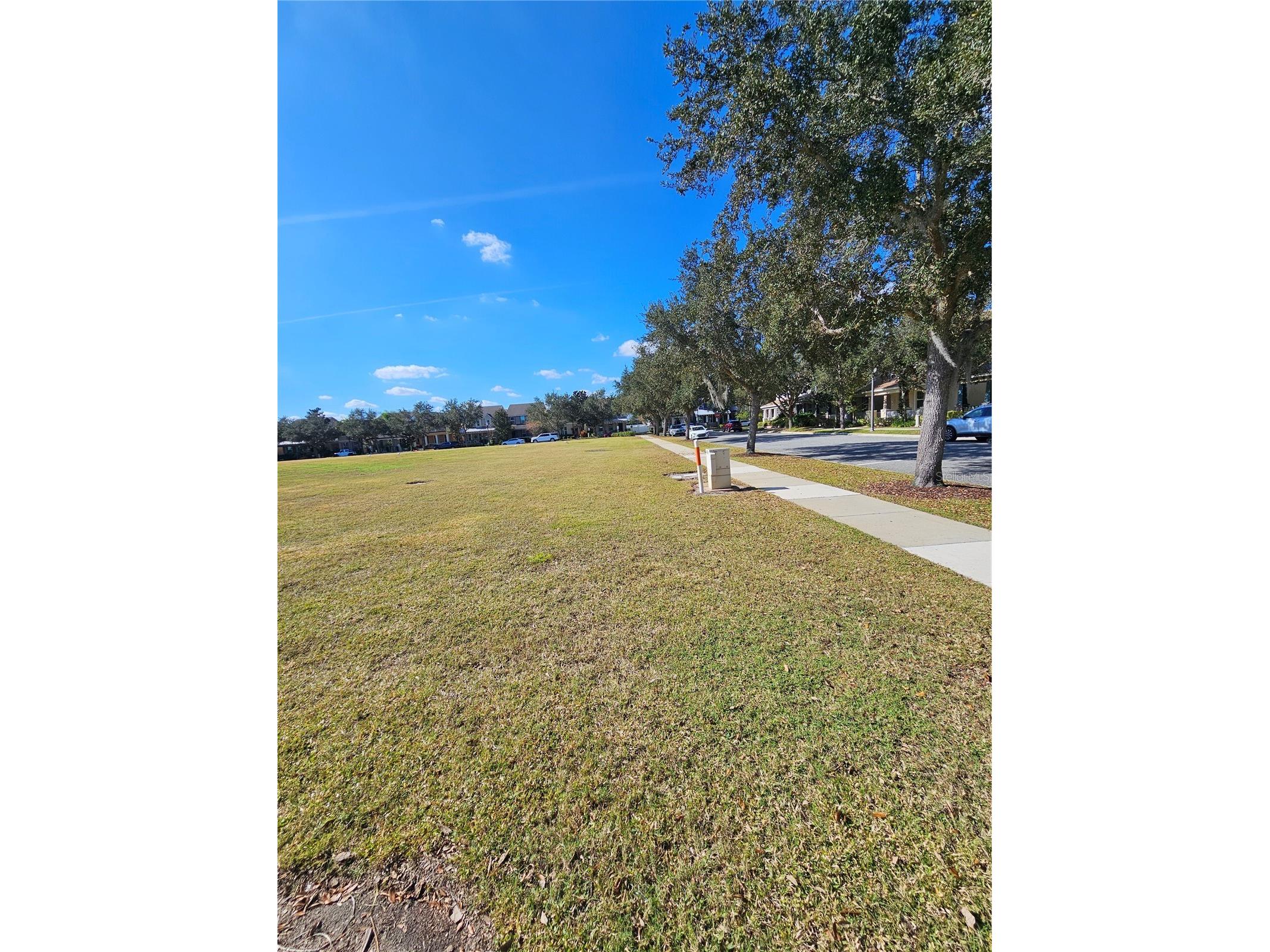 6442 Golden Dewdrop Trail Windermere FL 34786 G5106279 image45