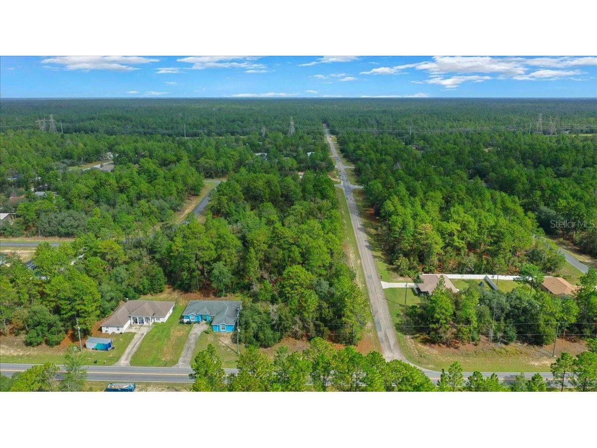 6442 N Dunlap Terrace Citrus Springs FL 34433 OM710905 image10