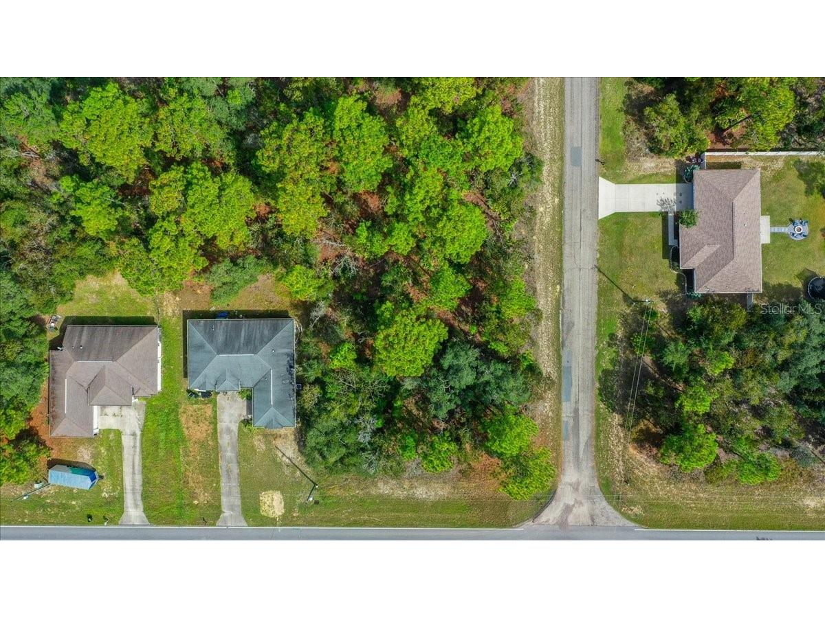 6442 N Dunlap Terrace Citrus Springs FL 34433 OM710905 image2