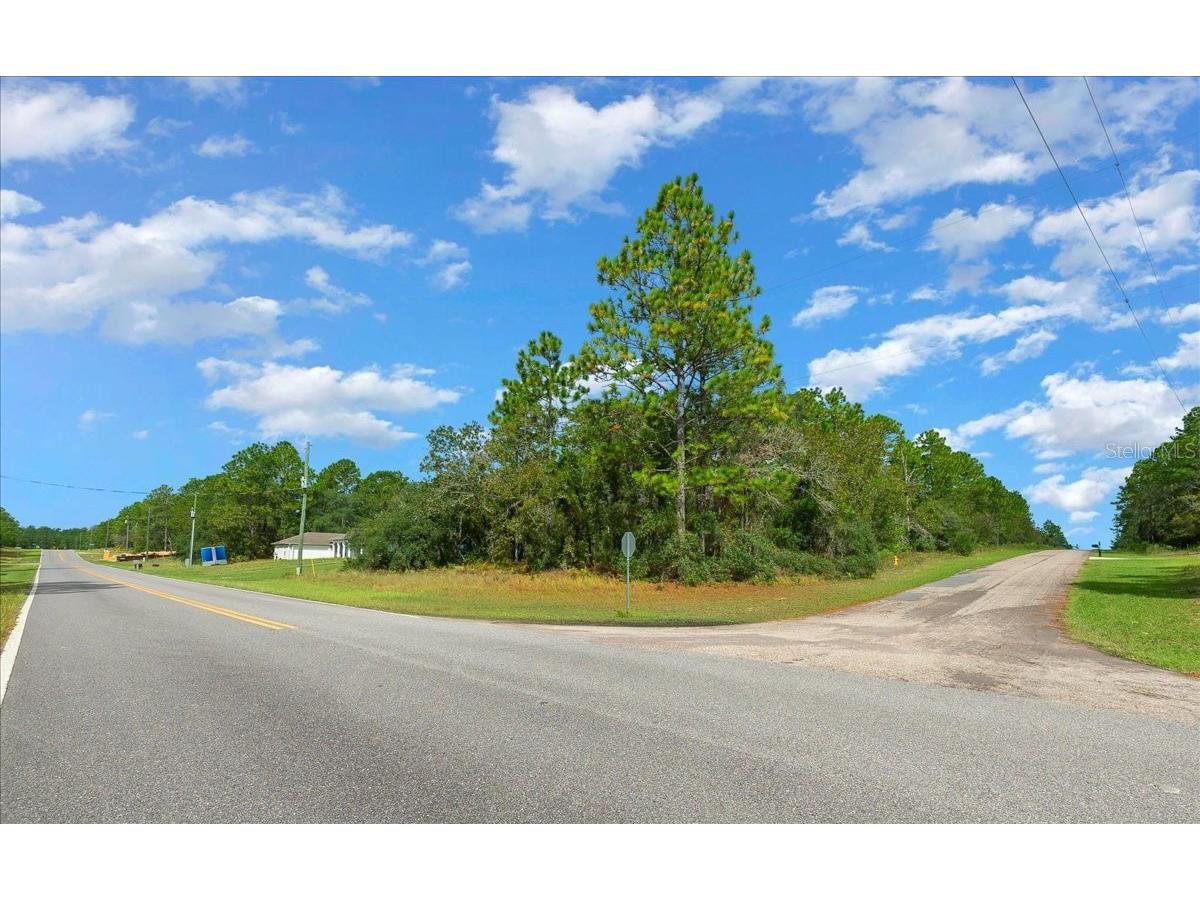 6442 N Dunlap Terrace Citrus Springs FL 34433 OM710905 image4