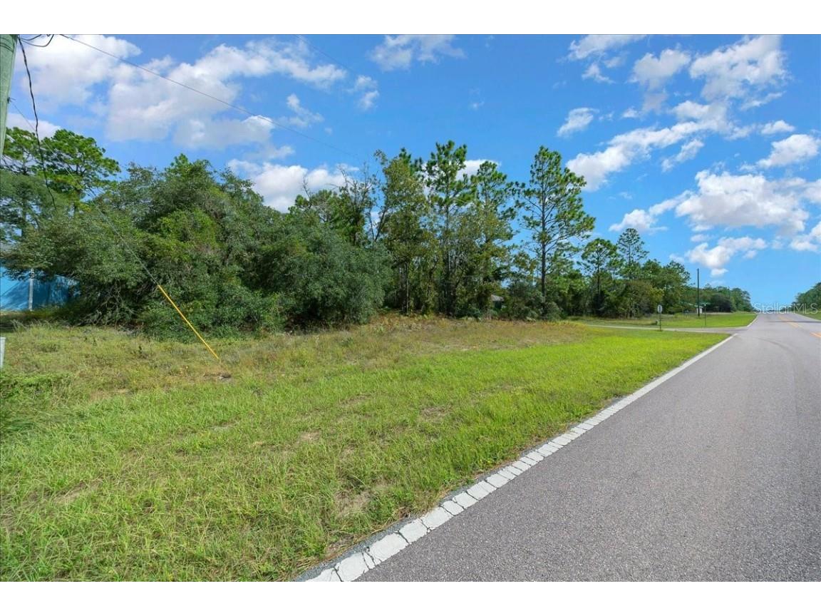 6442 N Dunlap Terrace Citrus Springs FL 34433 OM710905 image6