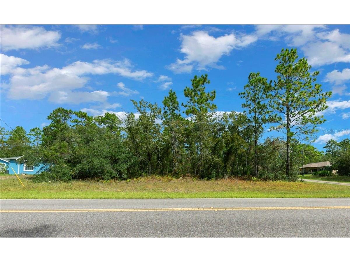 6442 N Dunlap Terrace Citrus Springs FL 34433 OM710905 image7