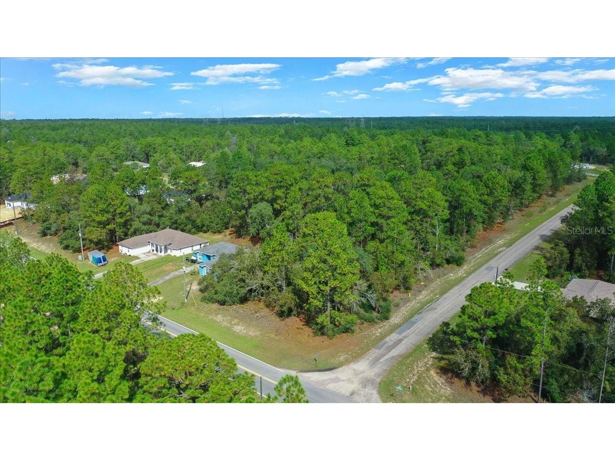 6442 N Dunlap Terrace Citrus Springs FL 34433 OM710905 image8