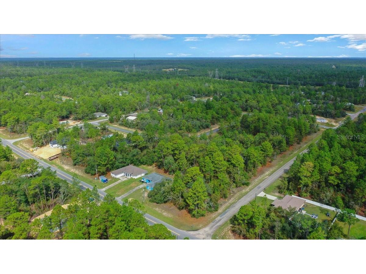 6442 N Dunlap Terrace Citrus Springs FL 34433 OM710905 image9