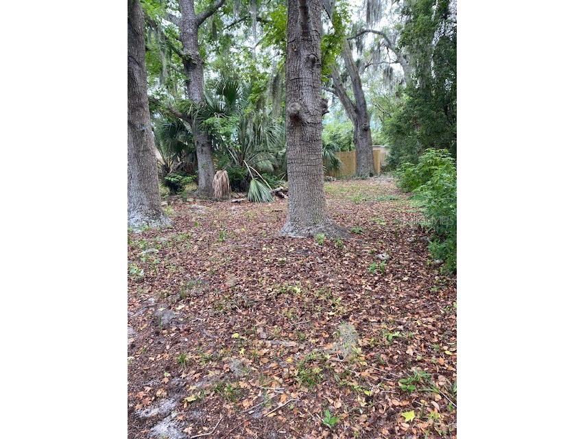 6442 Treehaven Drive Spring Hill FL 34606 W7885781 image21