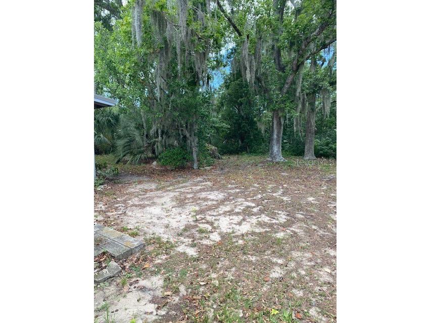 6442 Treehaven Drive Spring Hill FL 34606 W7885781 image23