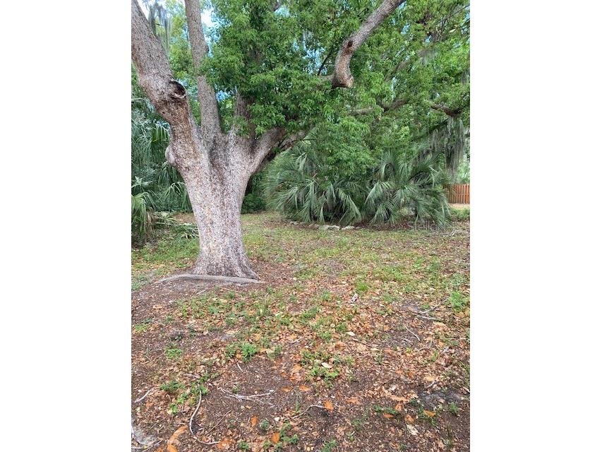 6442 Treehaven Drive Spring Hill FL 34606 W7885781 image24