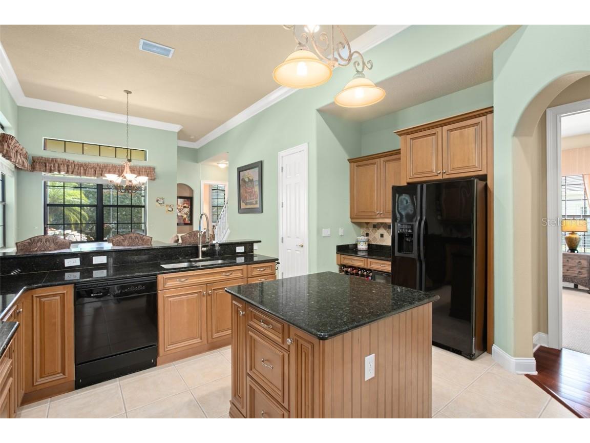 6443 Cartmel Lane Windermere FL 34786 O6179128 image11