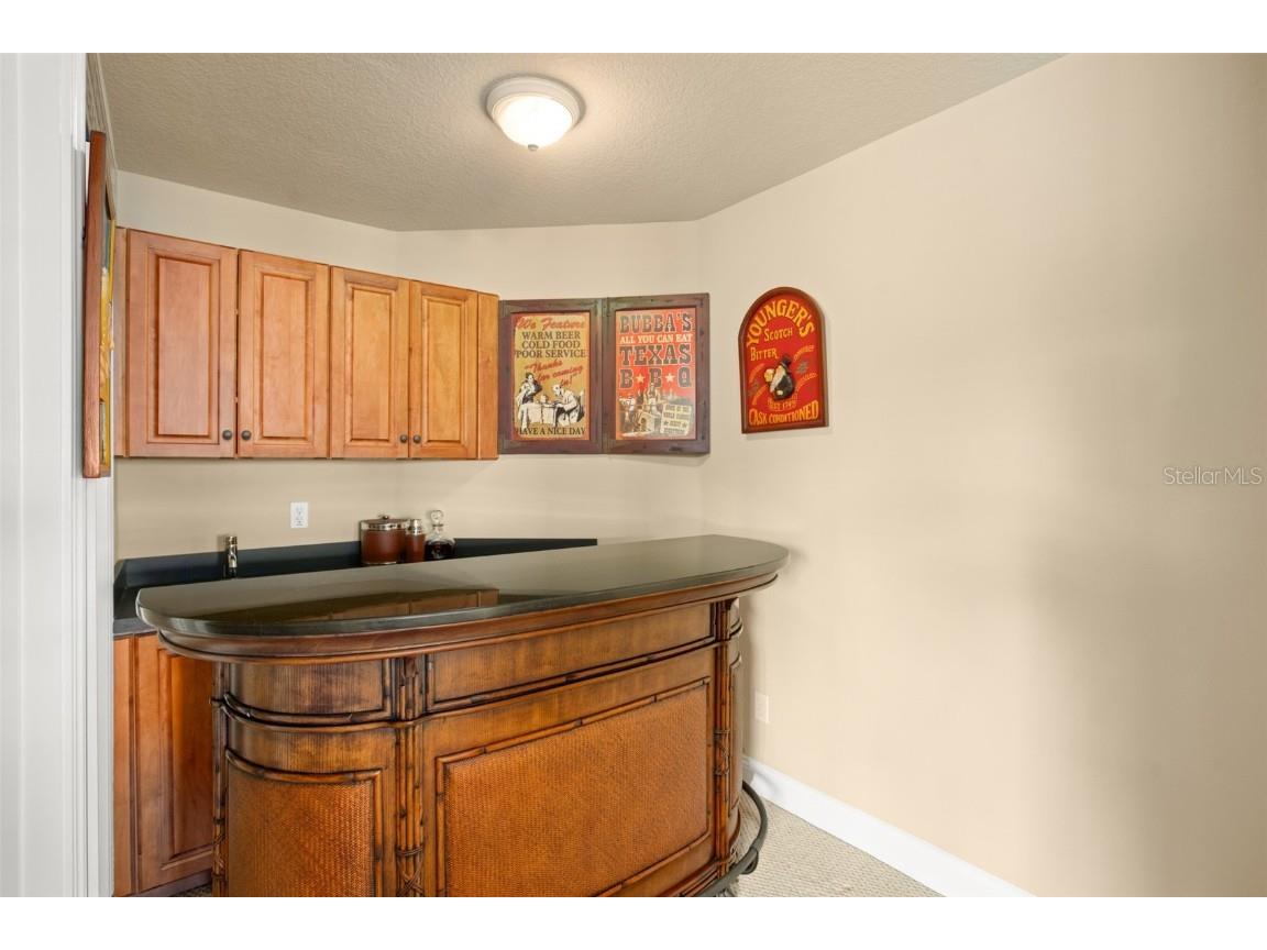 6443 Cartmel Lane Windermere FL 34786 O6179128 image27