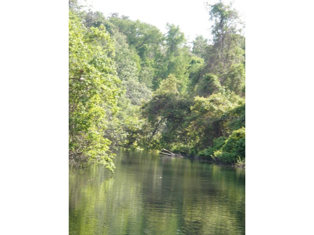 6443 Finance Avenue Weeki Wachee FL 34607 TB8392779 image35