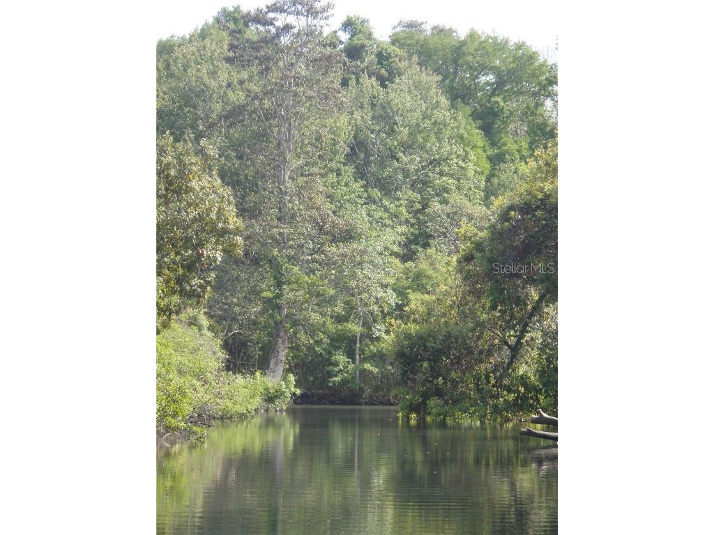 6443 Finance Avenue Weeki Wachee FL 34607 TB8392779 image36