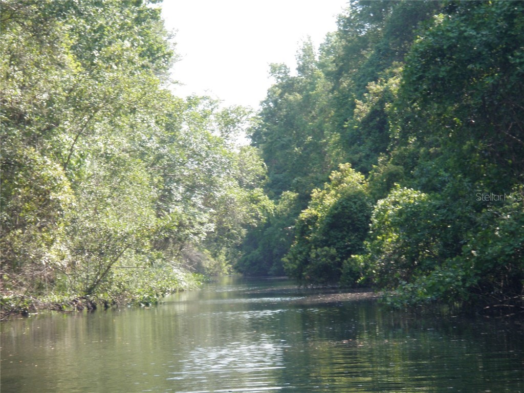 6443 Finance Avenue Weeki Wachee FL 34607 TB8392779 image37