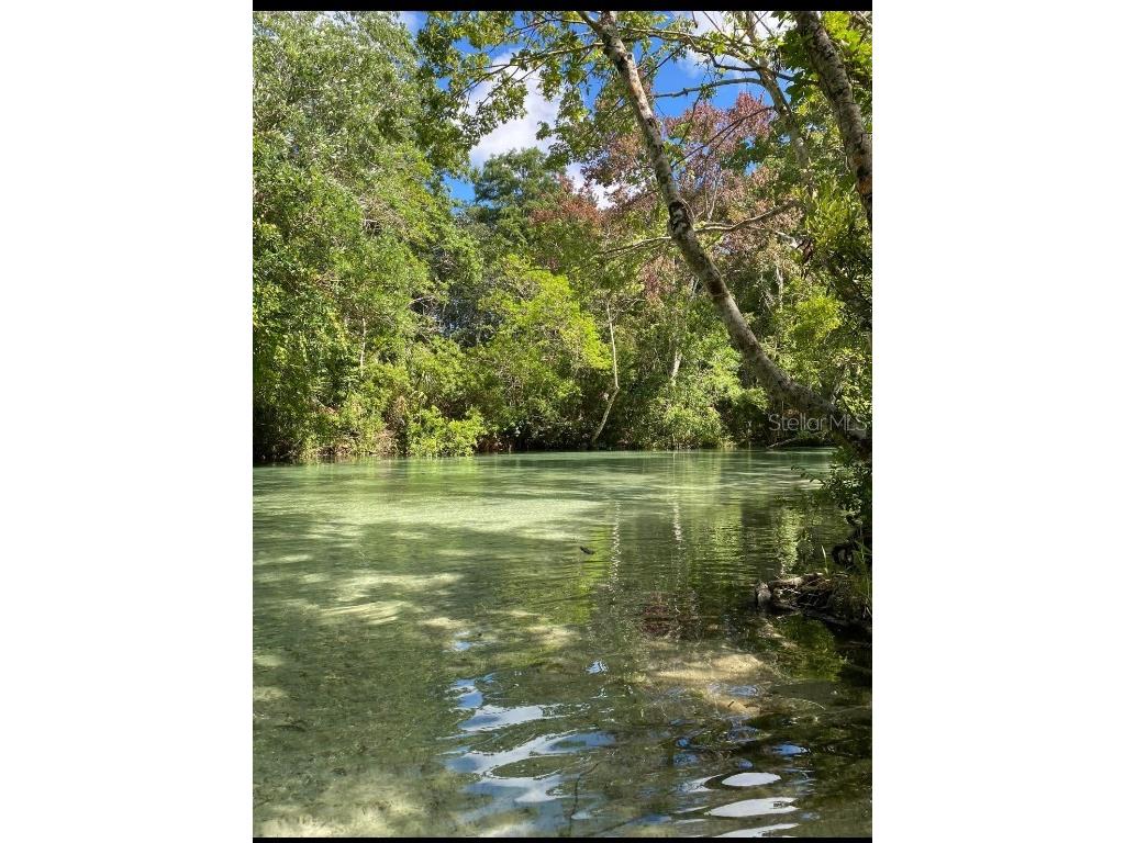 6443 Finance Avenue Weeki Wachee FL 34607 TB8392779 image38